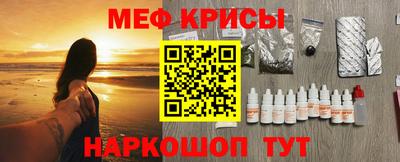 СК Гатчина