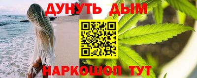 СК Гатчина