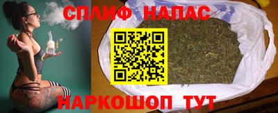 СК Гатчина