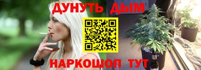 СК Гатчина