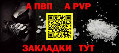 СК Гатчина