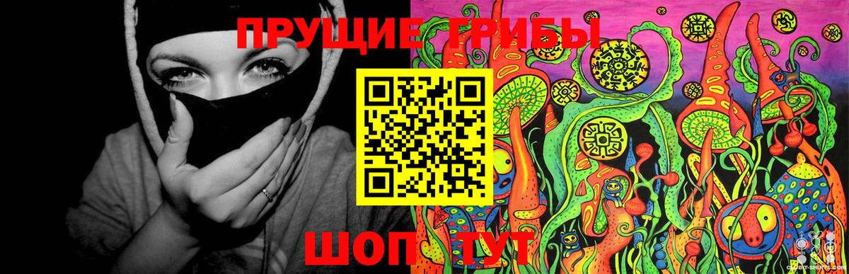 Псилоцибиновые грибы Psilocybe Холмск
