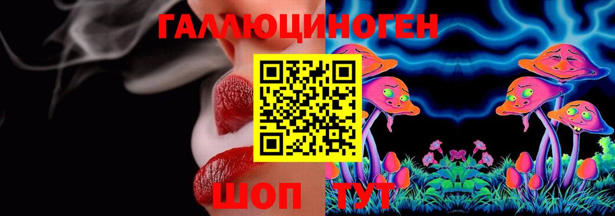 Холмск  Псилоцибиновые грибы Cubensis  Псилоцибиновые грибы Magic Shrooms  где продают наркотики  Вход с VPN 